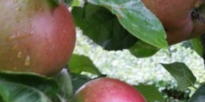 20150921_093449_21405202699_o