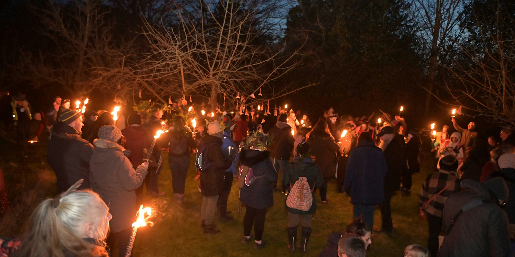 Wassail in the Orchard