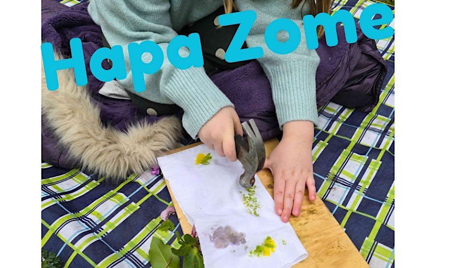 Summer Hapa Zome Workshop